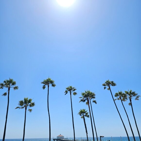 Meet your Posher, Andrea - Picture 3 of 4